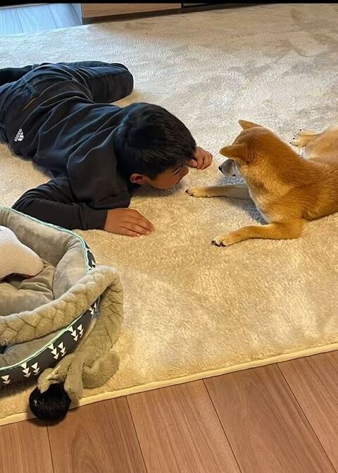 寝転んで見つめ合うふたり