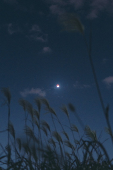 ポケモンボールのような月食