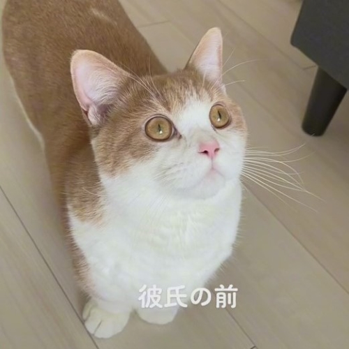 おすすめ