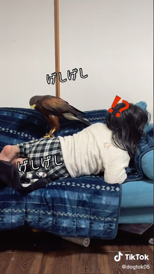 起きた長女ちゃん