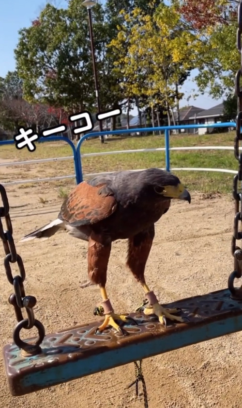 ブランコキールくん