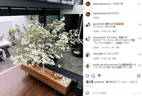 滝沢眞規子の家