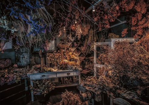 異世界転生 写真集 ファンタジー