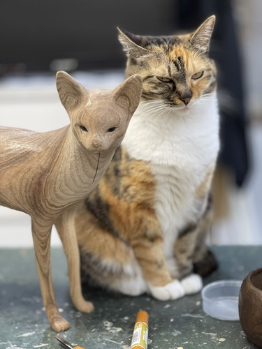 モッシリあかねちゃん