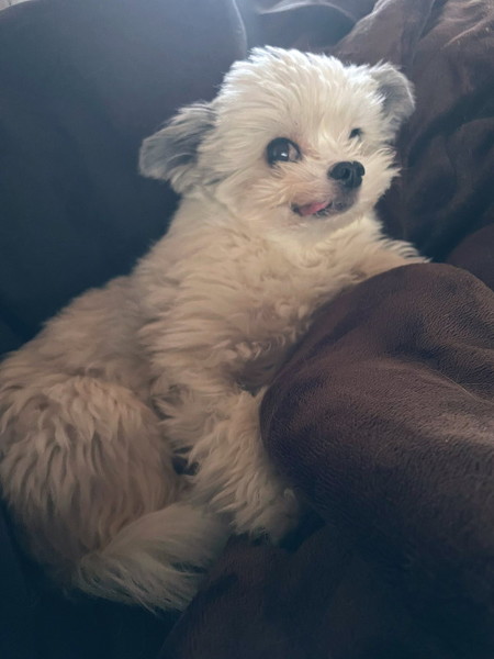 カマンさんの表情