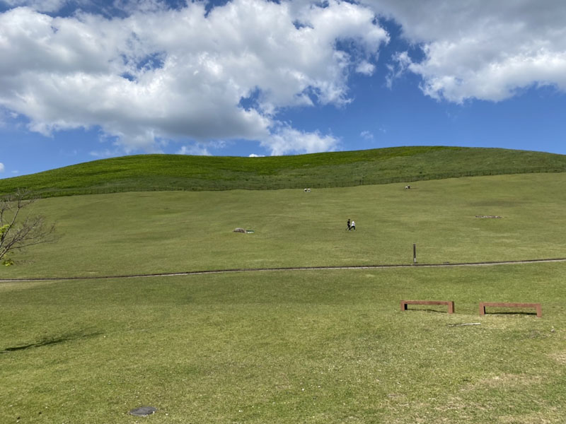 「Windows XPの壁紙」に似すぎな奈良・若草山の風景が話題　あの起動音が聞こえてきそう……