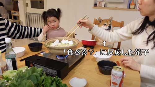 柴犬 おかわり 一緒に 食卓 催促 ご飯