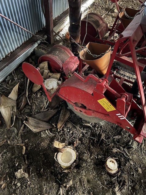 竹 タケノコ 倉庫 Twitter