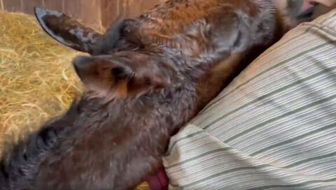 少しうつる口元