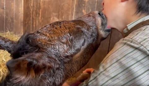 バズ子ちゃん後頭部アップ