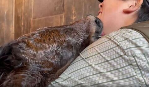 痛そうな飼育員さん