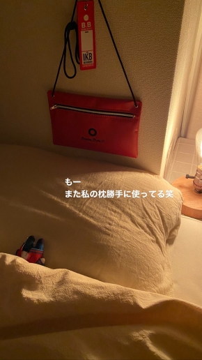 「#ぬいとの同棲を匂わせる女のストーリー」の画像