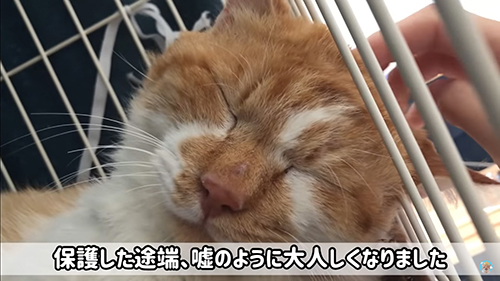 触らせてくれるデブくん