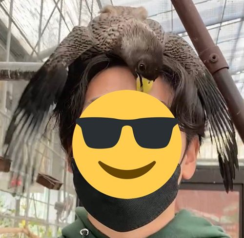 わっさートリミング