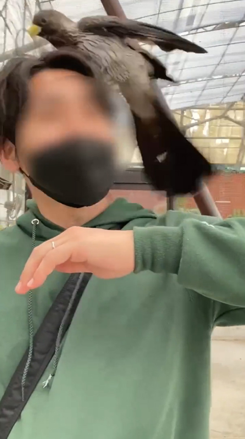 飛び乗るレラさん