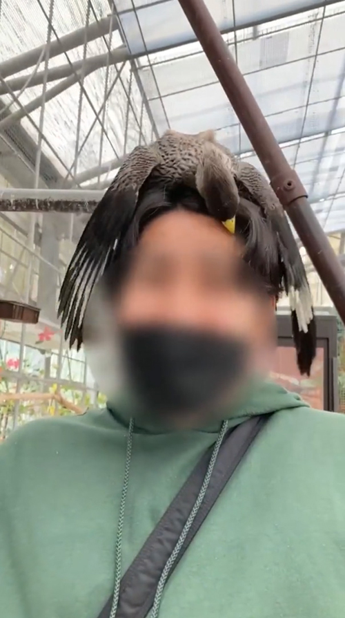 ぎゅっとするレラさん