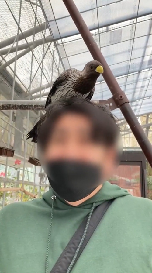 立ち上がるレラさん