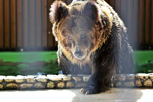三重県 大内山動物園 私設 個人経営