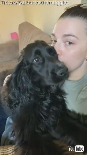 口に耳をつける犬