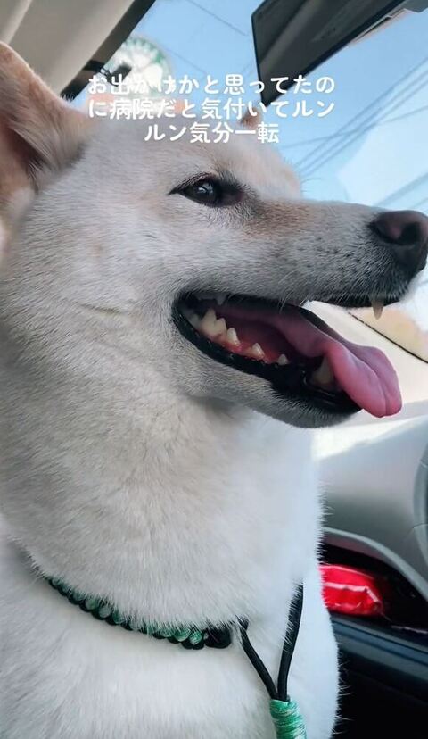 さらにうれしそうな横顔