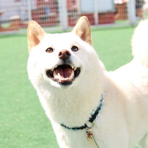 暖かそうな外で笑顔