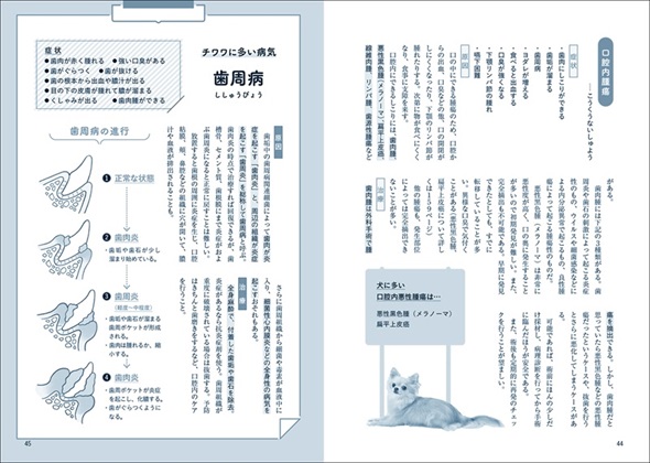 チワワ版家庭犬の医学内容