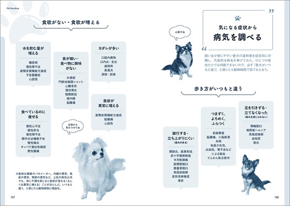 チワワ版家庭犬の医学内容