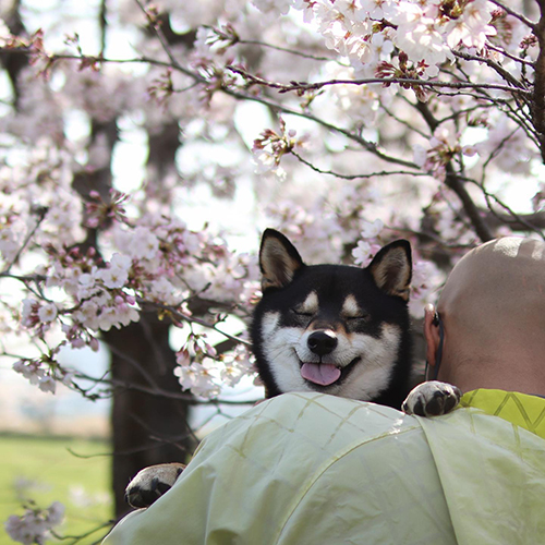 にこにこすみすみちゃん