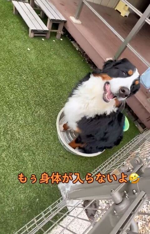 タライに入って笑顔のリンちゃん