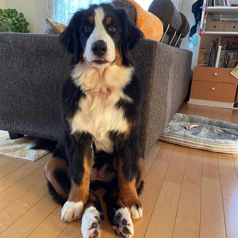 不思議な座り方