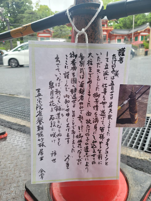 タケノコーン