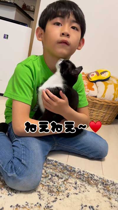 かまってほしい猫と男の子