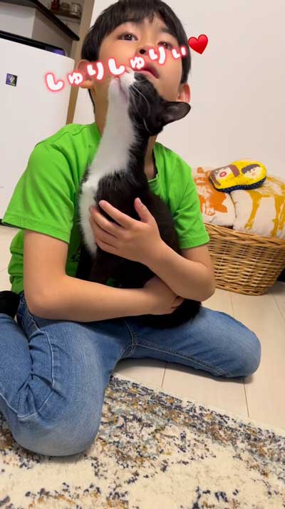 男の子が大好きな元保護猫