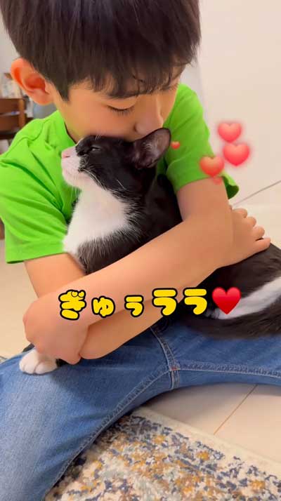 ギュッとはぐする男の子と猫