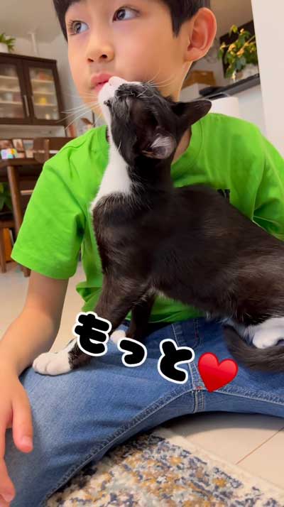 ハグしてほしい猫と男の子