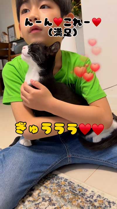 幸せそうな猫の表情