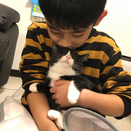 保護猫 男の子 息子 にぃに 大好き 仲良し 元野良猫