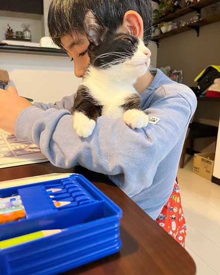 保護猫 男の子 息子 にぃに 大好き 仲良し 元野良猫