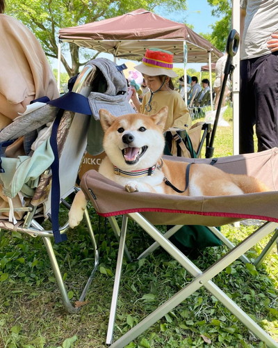 BBQする寅吉くん