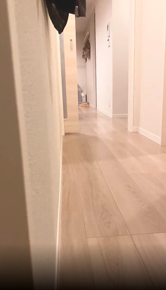 いなくなった子猫