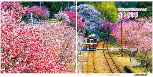 ローカル鉄道がゆく