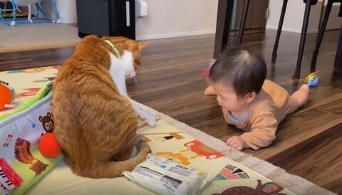 おもちゃ後ろにとんでく