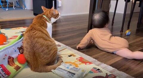 ふたりでテーブルを見つめる