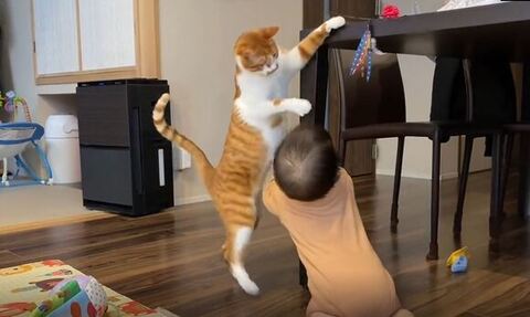 テーブルにつかまり立ちしてる