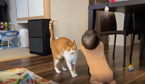 カメラの方に体を向けてる