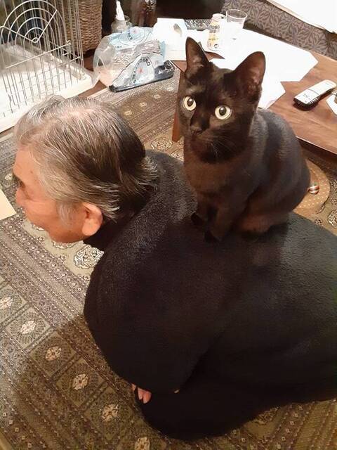 お父さんの背中に乗ってるるるちゃん