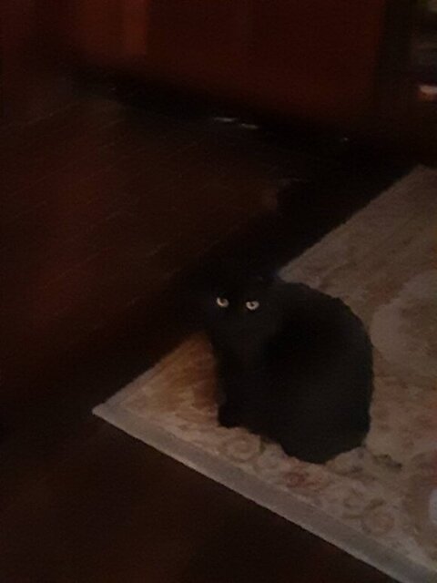 暗闇のるるちゃん