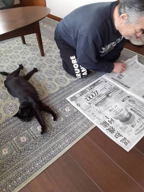 くるろいでるるるちゃん