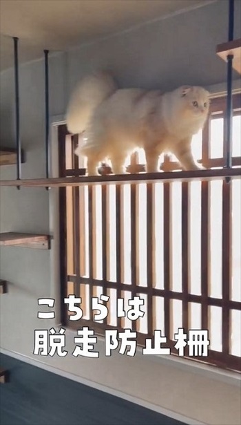 脱走防止柵がついた窓