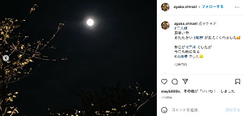 中山秀征と白城あやか夫婦